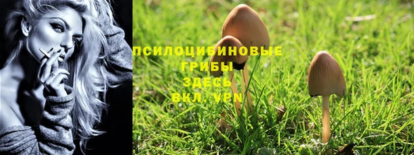 МДПВ Алексеевка