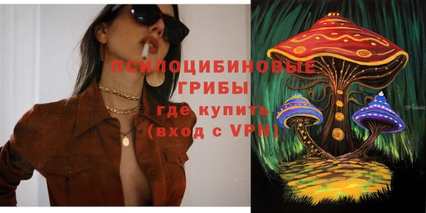 шишки Алексин
